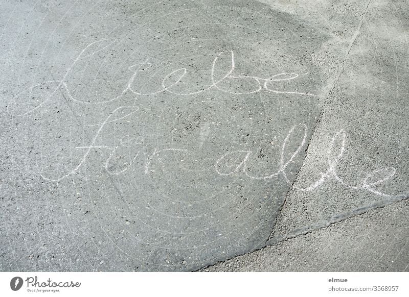 "Liebe für alle" steht in Schreibschrift mit Kreide geschrieben auf dem Betonboden Mitteilung Buchstabe Straße Gleichheit fair Botschaft Message Glück
