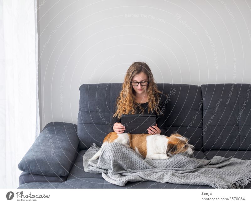 Junge Frau sitzt mit einem Tablet auf einem kleinen Hund auf einem grauen Sofa Dschungel Tablette Terrier Tablet Computer stayhome Lifestyle lesen gemütlich