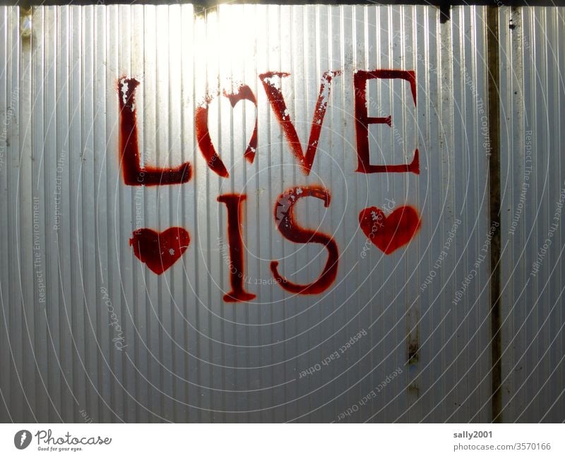 Liebe ist! Herz Symbol Schrift rot Graffiti Gefühl Gefühlsausdruck Liebeserklärung Plastikwand durchscheinend Sonne alt abgeblättert Schriftzug Schriftzeichen