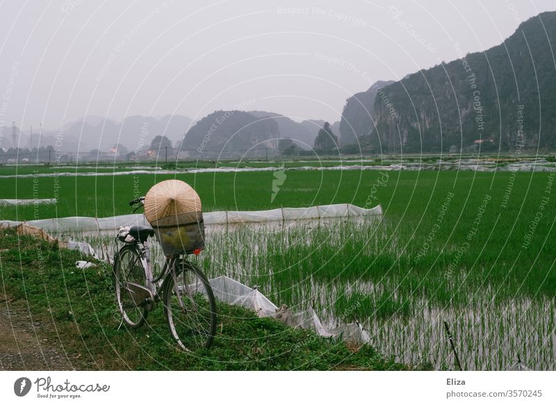 Ein Fahrrad mit einem Kegelhut vor grünen Reisfeldern in Ninh Binh, Vietnam Reishut Landschaft Reisanbau asiatisch Asien Lebensmittel Feld anbauen