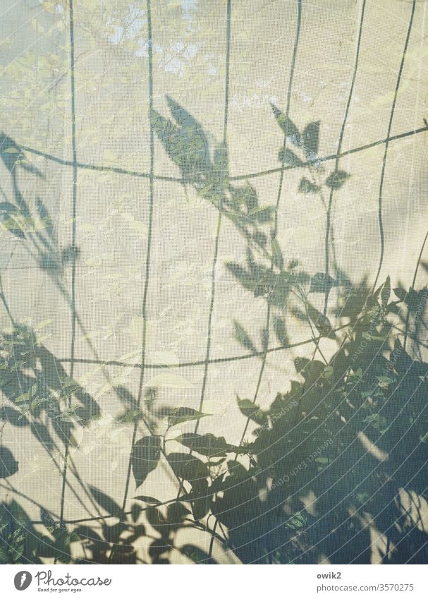 Verbeult Baustelle Begrenzung Zaun Bauzaun Plane undurchsichtig Kunststoff Gitter Metall Schatten Sonnenlicht Pflanzen Halme Blätter wachsen Außenaufnahme
