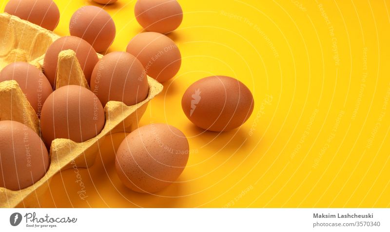 Braune Hühnereier in Pappkarton auf gelbem Hintergrund braun Hähnchen Eier Karton Kasten Transparente frisch Bauernhof Kopie Raum Text organisch Lebensmittel