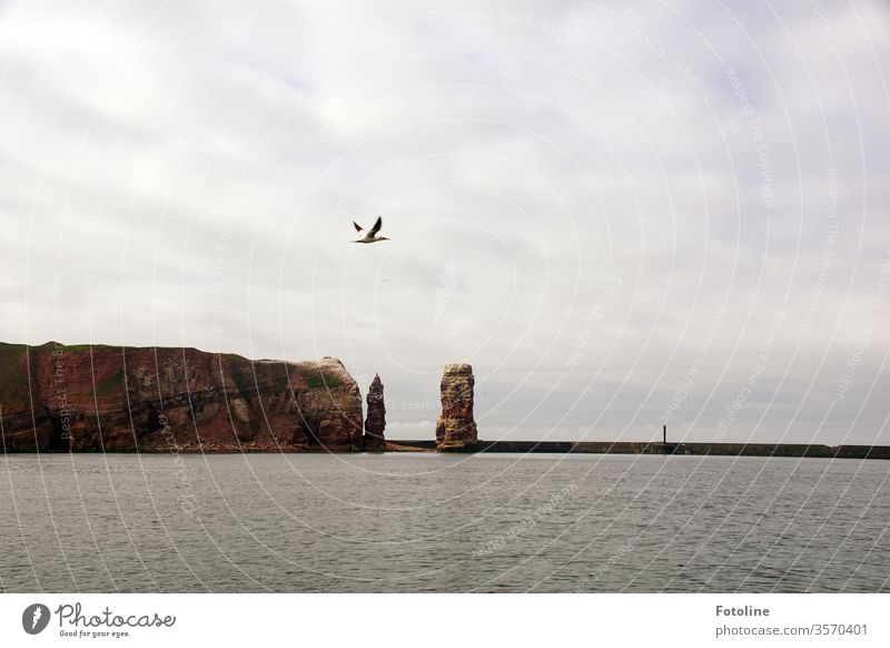 Lieblingsinsel - oder Helgoland von der Seeseite aus mit einem wunderbaren Blick auf die Lange Anna Felsen Wahrzeichen Außenaufnahme Farbfoto Menschenleer Tag