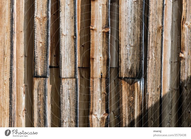 Bretterwand mit Schatten im unteren rechten Eck Holz Holzwand Wand Holzmaserung Schutz vertikale Strukturen geometrisch regelmässig Muster Holzbrett authentisch