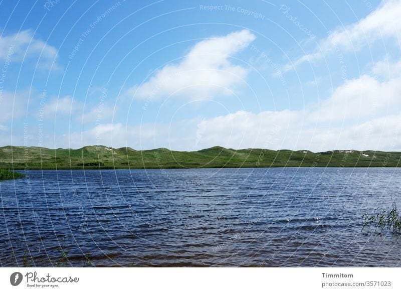 Blau, so blau! Fjord Wasser Wellen Ruhe Himmel Wolken Natur Landschaft Dünen Dünengras grün Ferien & Urlaub & Reisen Dänemark Menschenleer Farbfoto