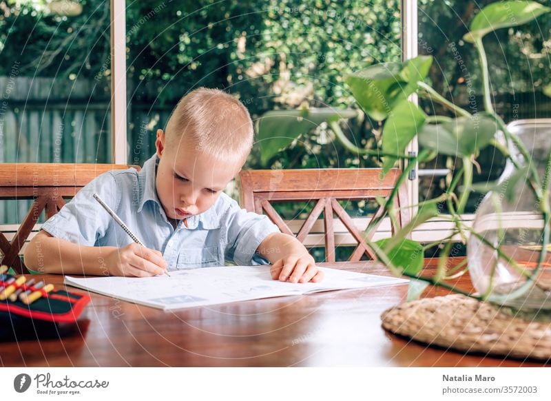 Kleines Kind, das zu Hause in einem Lehrbuch zeichnet, ein Junge, der Stift hält und schreibt. Unscharfe Monsterpflanze im Vordergrund. heimwärts Tisch Bildung
