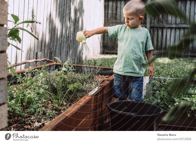 Ein kleiner Junge gießt Pflanzen im Garten. Konzept der Landwirtschaft und des Umweltschutzes Bewässerung Natur grün Leben Boden Ackerbau Frühling jung neu