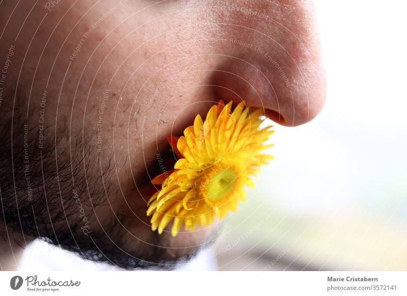 Nahaufnahme einer gelben Blume, die den Mund eines Mannes bedeckt Redefreiheit Konzept der freundlichen Worte freundliche Worte Freundlichkeit Entwurf