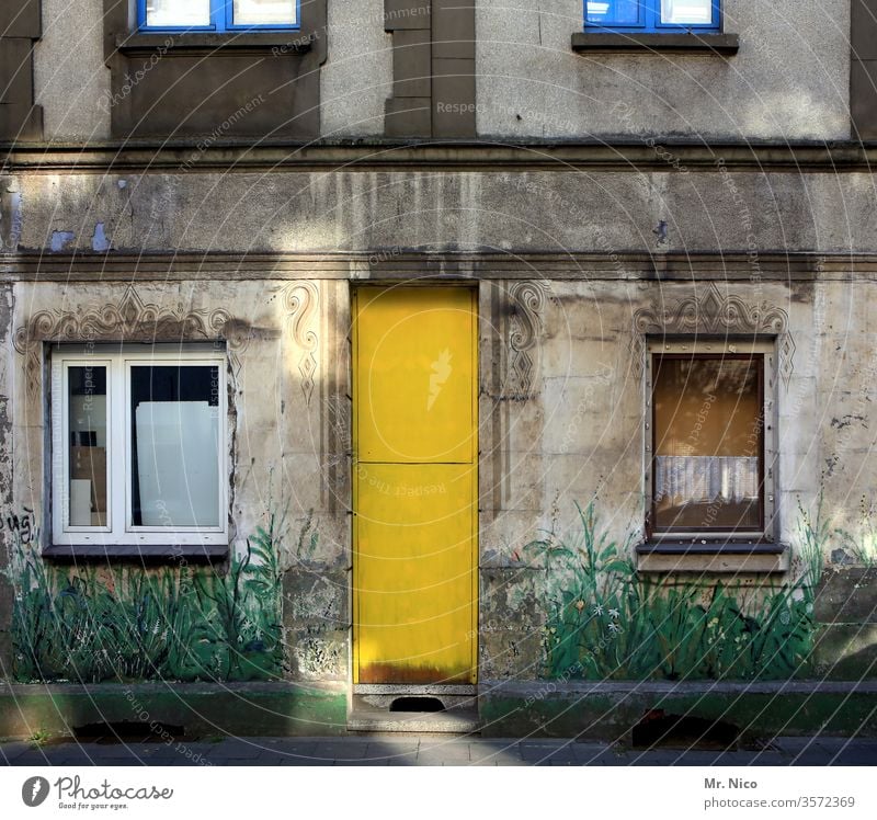 Kunst am Bau I Urbaner Garten Haus Gebäude Architektur Fenster Fassade Tür gelb Graffiti Eingang Hintereingang grau Kellerfenster trist Altbau Wandmalereien