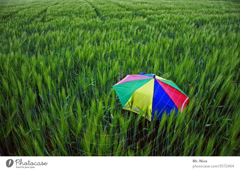 Farbkombination I grün trifft bunt Regenschirm regenbogenfarben Feld Sonnenschirm Sommer Wind Landwirtschaft frisch Kornfeld abgeschirmt Schutz vergessen