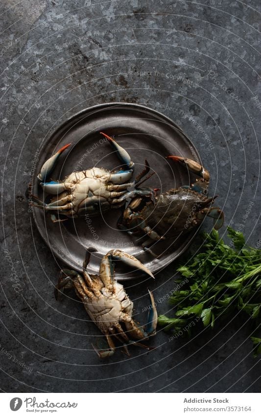 Krebse auf einer Metallplatte in der Nähe von frischer grüner Petersilie Krabben Speise Gastronomie Koch marin crabbing Feinschmecker vorbereitet tropisch