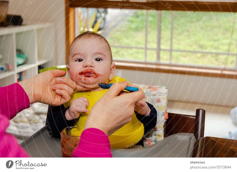Entzückender kleiner Junge im Fütterungsstuhl, der von seiner Mutter mit einem Löffel gefüttert wird Baby niedlich Europäer Säugling 6 Monate Kaukasier