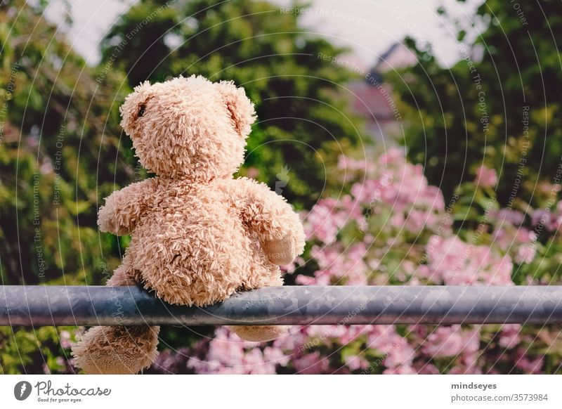 Teddybär sitzt auf einer Stange stange blüten busch nachdenklich aussenaufnahme kindheit natur spielen spielzeug Tag Stofftiere Farbfoto Außenaufnahme