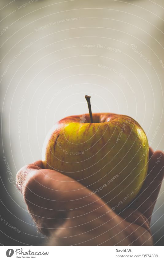 einen Apfel in der Hand halten haltend festhalten präsentieren gesund Ernährung Gesunde Ernährung Vitamine Vitamin B Vitamin A Obst frisch Gesundheit