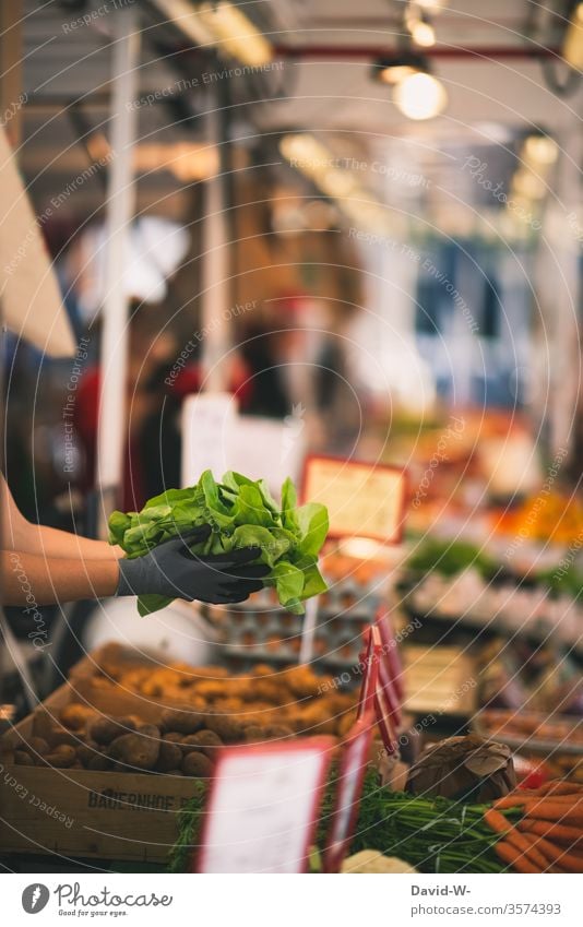 Wochenmarkt - Verkäuferin hält frischen Salat in den Händen Marktplatz Karotten Möhren Tüte Kunden Hand Gemüse Marktstand nachhaltig gesund Bioprodukte Händler