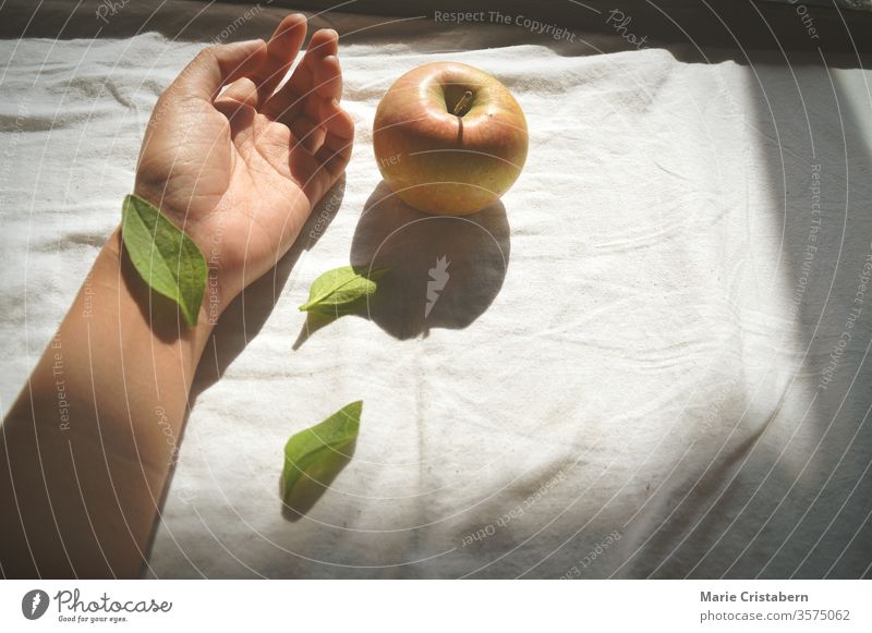 Blatt, das die Handgelenkshand und einen Apfel gegen ein weißes Bettlaken bedeckt Selbstmordkonzept Selbstmord-Bewusstsein Begriffsbild Selbstmörder