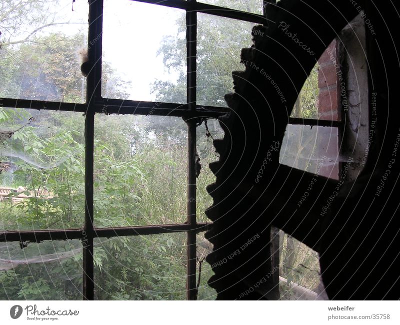 großes Zahnrad Mühle historisch Architektur alt Fenster Spinnweben Industriefotografie