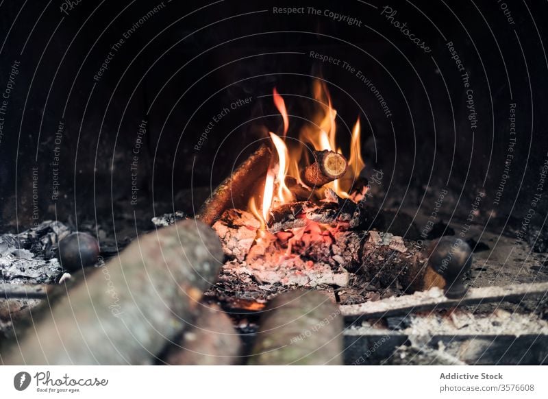 Verbrennen von Feuer und Holz im Kamin Feuerstelle Brandwunde Flamme Brennholz Freudenfeuer Rauch Asche glühen Licht hell erwärmen heiß brennbar Totholz dunkel