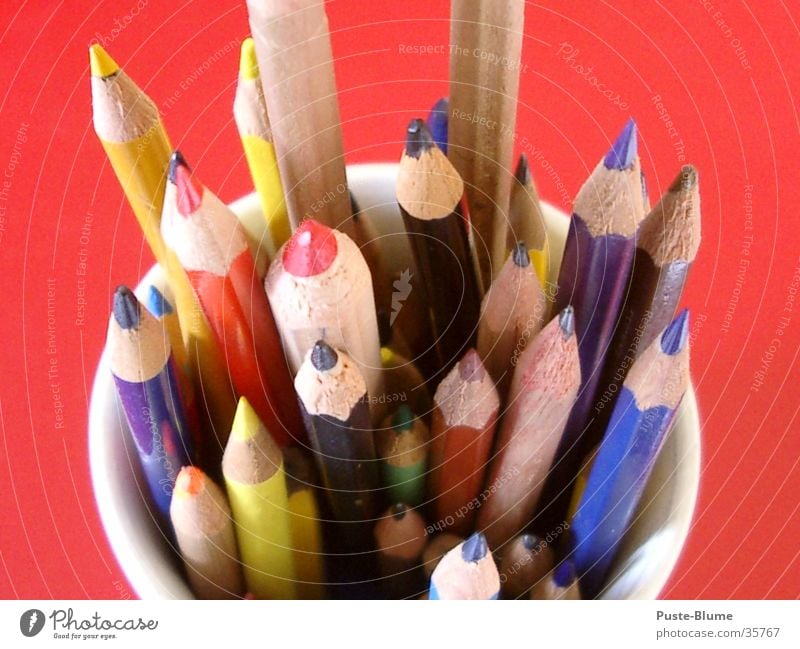 Buntstift Farbstift Schreibstift Holz Bleistift rot Farbe zeichnen