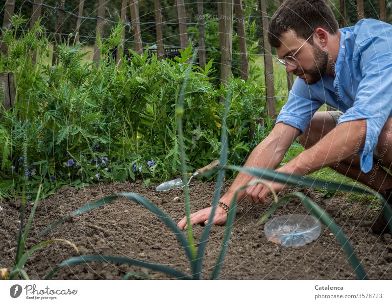 Ein junger mann kniet im Beet und sät Bohnen natürlich Mensch Mann Gärtner Gartenarbeit Hand Pflanze Wachstum Erde Natur grün Sommer junger Mann Aussaat Saatgut