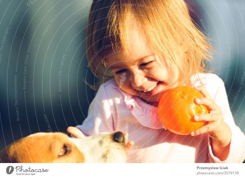 Kleines Mädchen, das an einem sonnigen Tag im Garten mit seinem besten Freund, dem Beagle-Hund, spielt. Kind Familie im Freien Sommer bezaubernd Tier Herbst