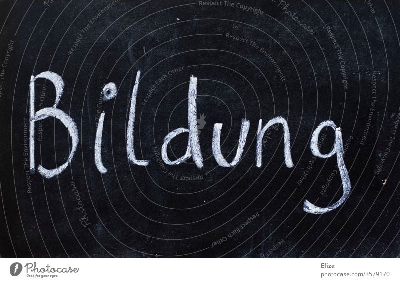Tafel auf der mit Kreide das Wort Bildung geschrieben steht Schulbildung Schule Schulunterricht lernen wichtig Wissen schwarz weiß Schrift Buchstaben
