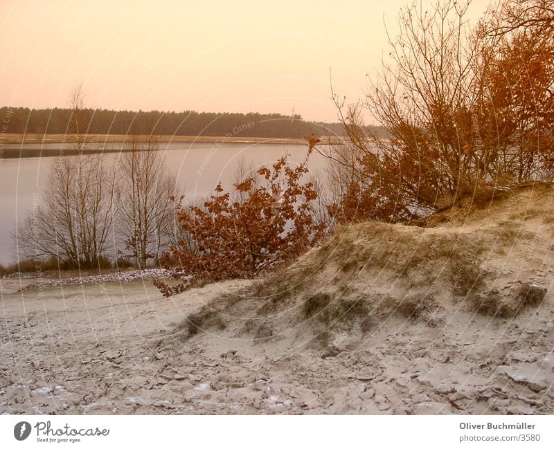Abend am See Niedersachsen Sonnenuntergang Baum Winter Einsamkeit ruhig Sand