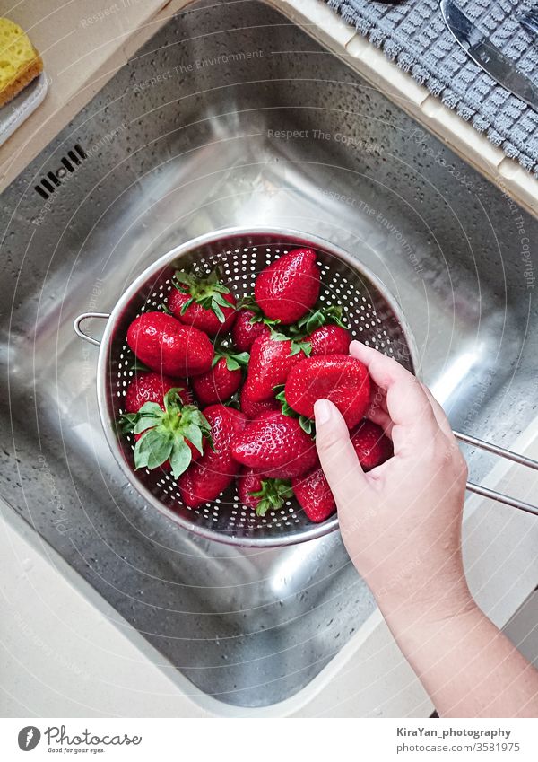 Gewaschene reife saftige rote Erdbeeren im Maschensieb über dem Waschbecken erdbeeren gewaschen Hand Waschen Sauberkeit Wasser nass Küche pov Draufsicht Beeren