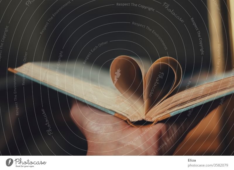 Ein Herz aus den Seiten eines Buches. Konzept Liebe zur Literatur und zum Lesen. Leidenschaft lesen Roman Bildung Vorlesen Printmedien Lesestoff Buchseite