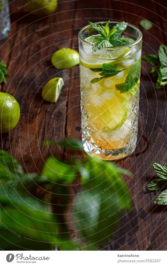 Hausgemachter erfrischender Mojito-Cocktail in einem hohen Glas Mocktail Minze Kalk Caipiroska Caipirinha Limonade Getränk trinken Blatt Alkohol Zitrusfrüchte