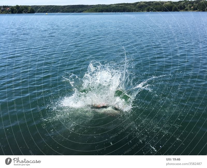 Sprung ins kalte Wasser (Nr.4) Sprungkraft springen See Mut mutig hemmungslos Arschbombe Schwimmen & Baden Ferien & Urlaub & Reisen nass Freude spritzen
