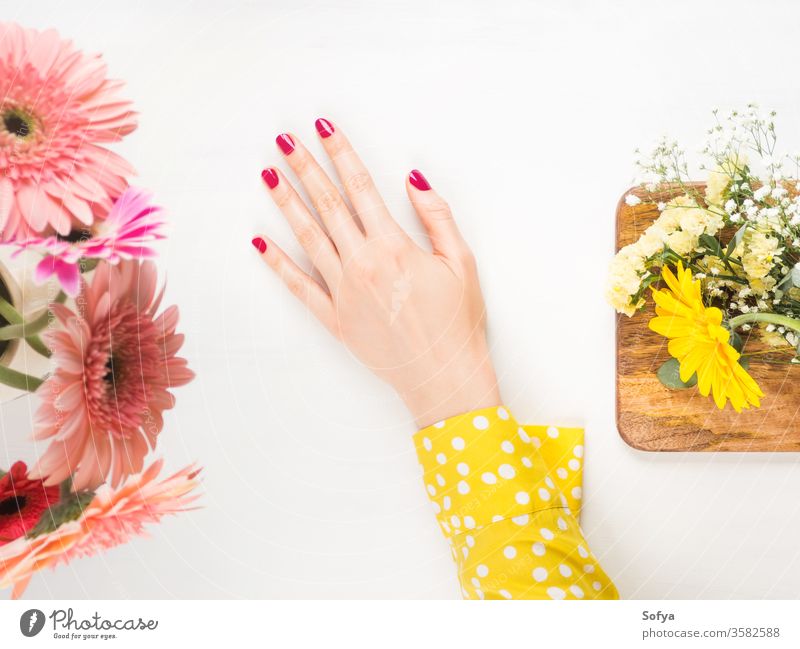Schöne Frauenhand mit roten Nägeln auf Weiß Schönheit Hand Pflege Haut Maniküre rosa polnisch Wellness gelb Blumen schön Körper Spa weiß Massage Therapie