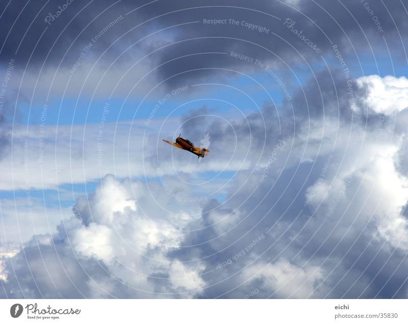 himmelfahrtskommando! Flugzeug Wolken Segeln Luftverkehr Himmel blau Sonne Landschaft Graffiti Gewitter