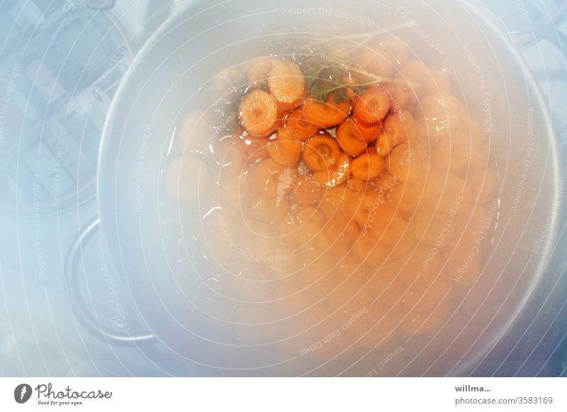 in Scheiben geschnittene Möhren, Karotten dämpfen im offenen Topf Möhrentopf garen Petersilie Möhrengemüse Eintopf Kochtopf kochen Dampf Wasserdampf köcheln