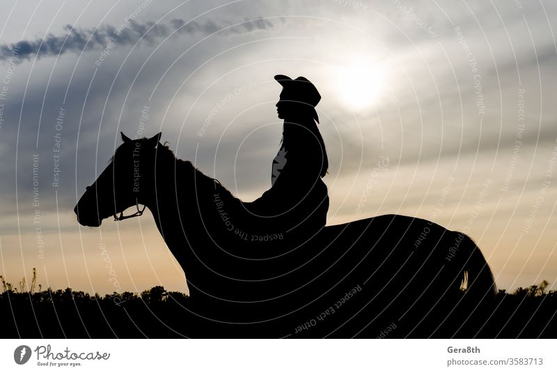 Silhouette eines jungen Mädchens mit Hut auf einem Pferd im Hintergrund des Sonnenuntergangshimmels Tier schwarz Wolken Umrisslinie Land Landhausstil Cowboy