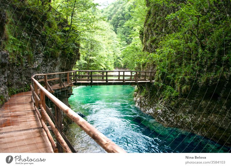 Holzbrücke über Bergfluss, wilde Naturlandschaft. Sauberes Wasser. reisen Vintgar Fluss Landschaft Triglav strömen im Freien grün Wald Slowenien Brücke Europa