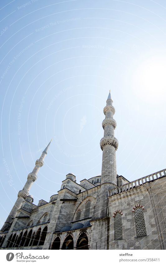 1003 Nächte Istanbul Türkei Kirche Sehenswürdigkeit Wahrzeichen ästhetisch Moschee Islam Blaue Moschee Farbfoto Textfreiraum oben Weitwinkel