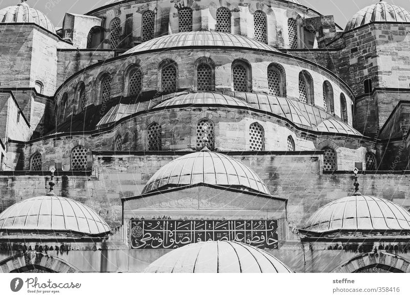 1005 Nächte | konjunktivische Wirbel für die Phantasie Istanbul Kirche Sehenswürdigkeit Wahrzeichen ästhetisch Religion & Glaube Blaue Moschee Islam