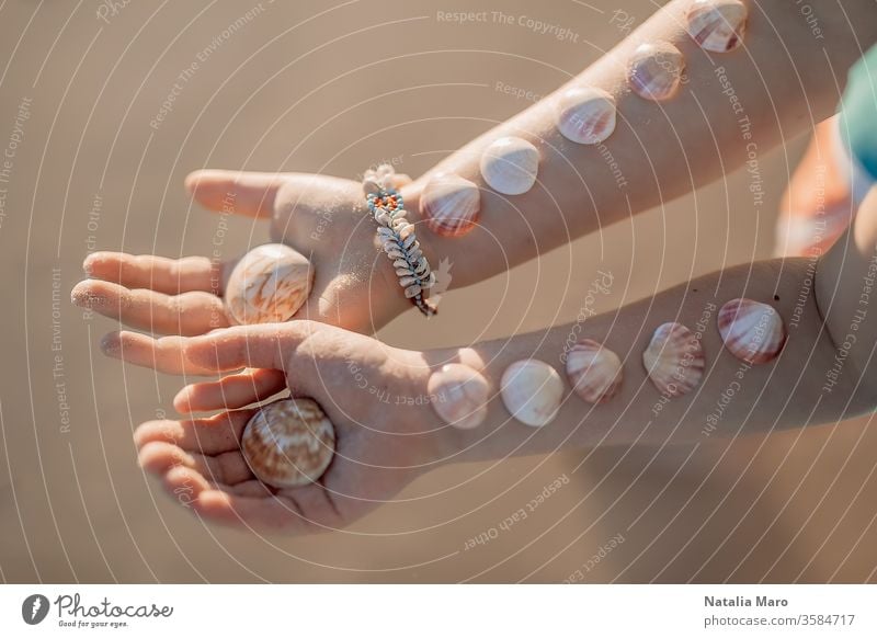 Die Hände kleiner Mädchen mit den Muscheln auf ihnen auf dem Hintergrund des Sandstrandes am Ozean. Kind Hand Liebe Meeresufer Panzer Sommer Sonne im Freien