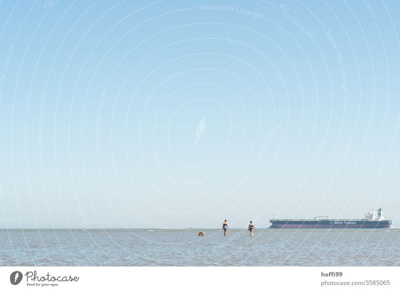 Spaziergang im Watt - das Wasser kommt Wattenmeer Wattwandern Nordsee Ebbe Meer Flut Horizont Küste Strand Natur Gezeiten Himmel Ferne Schlick Schlamm Umwelt