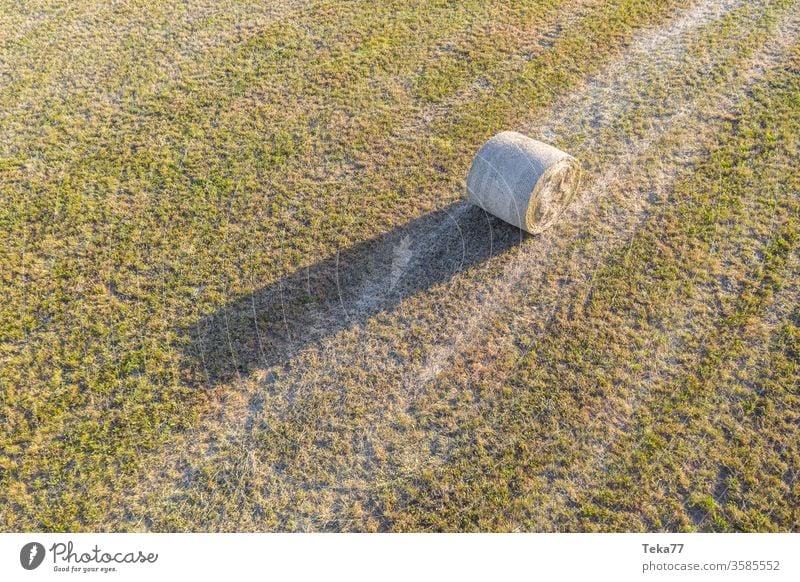 Der Heuballen heu heuballen landwirtschaft gras natur futter viehfutter drone abend
