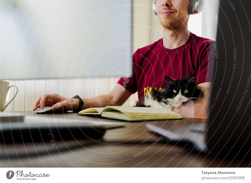 Mann arbeitet von zu Hause aus mit seiner Katze heimwärts arbeiten Computer Business Technik & Technologie Laptop Büro Internet Schreibtisch Arbeit Sitzen