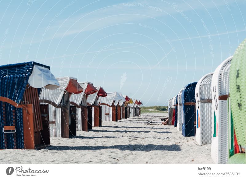 Strandkörbe in Reihe - fast alle leer Strandkorb Strandkorbvermietung Meer Lockdown Leerstand leerstehend Ostsee Erholung Sand Ferien & Urlaub & Reisen Küste