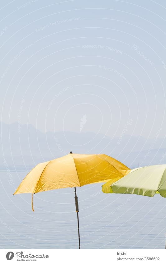 Schirme für die Gelbfüßler, am schwäbischen Meer. Sonne Sommer Sommerurlaub sommerlich Sonnenschirm sonnenschutz UV-Strahlung gelb grün blau Blauer Himmel