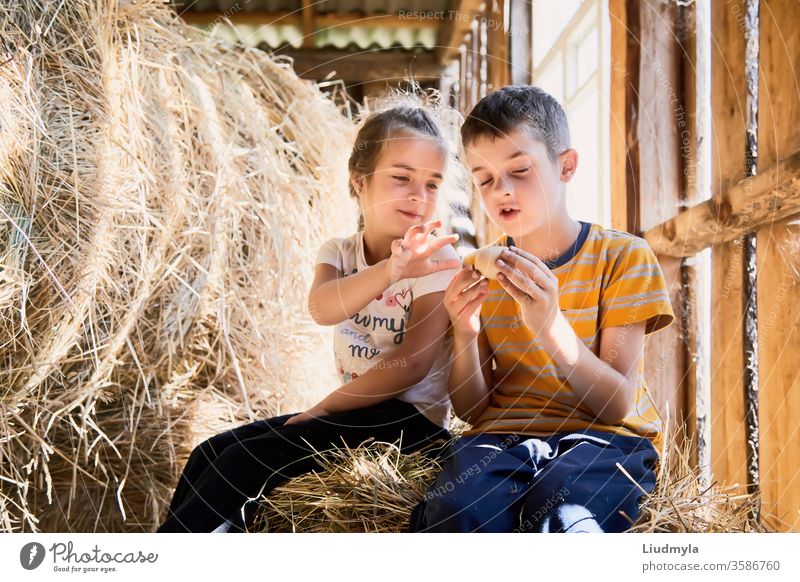 Zwei kleine Kinder schauen neugierig auf ein Hühnerei, das sie während ihres Spiels plötzlich auf dem Heuboden gefunden haben. Eier überrascht Blick Stroh
