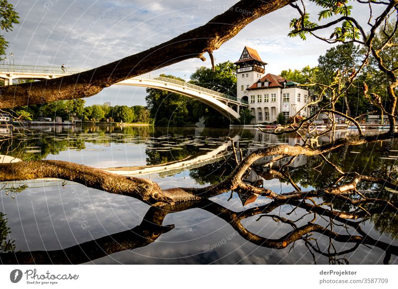 Insel der Jugend mit Brücke zum Sonnenaufgang Natur Morgendämmerung Treptow Treptower Park Leidenschaft insel der jugend Anlegestelle Reflexion & Spiegelung
