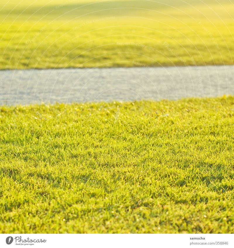 der Sommer ist da! Freiheit Sommerurlaub Sonne Sonnenbad Garten Umwelt Natur Sonnenlicht Gras Park Wiese Erholung genießen schön Wärme Glück Frühlingsgefühle