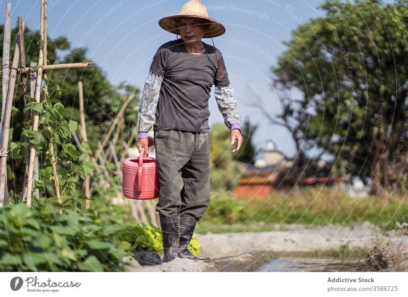 Ethnischer Bauer mittleren Alters füllt rote Gießkanne mit Bachwasser, während er an heißen Tagen im Garten arbeitet Mann Bauernhof Pflanze Landwirt besetzen