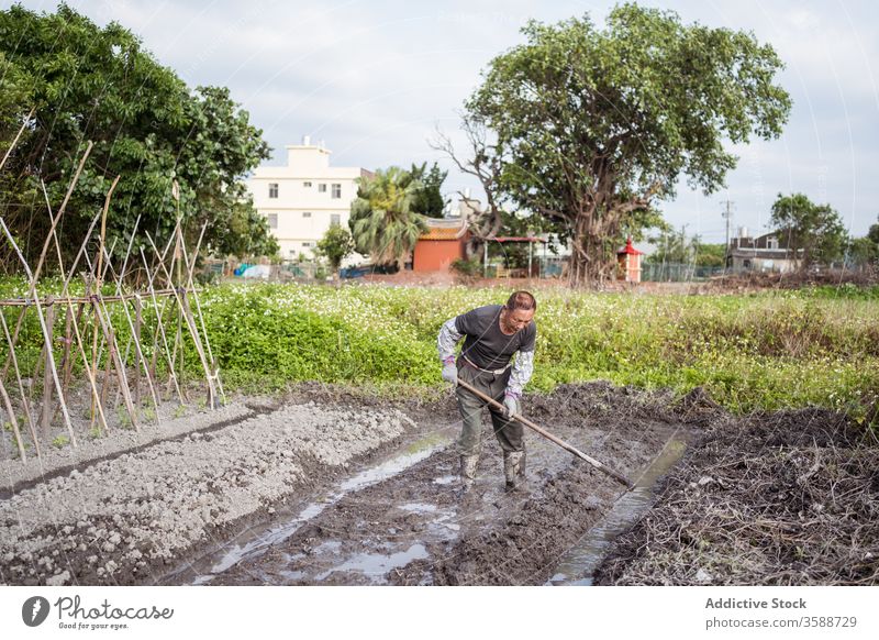 Eifrige ethnische Bauern bearbeiten den Boden vor der Pflanzung mit der Hacke Landwirt kultivieren Pflanze Garten Mann Bauernhof Agronomie Ackerbau Arbeit nass