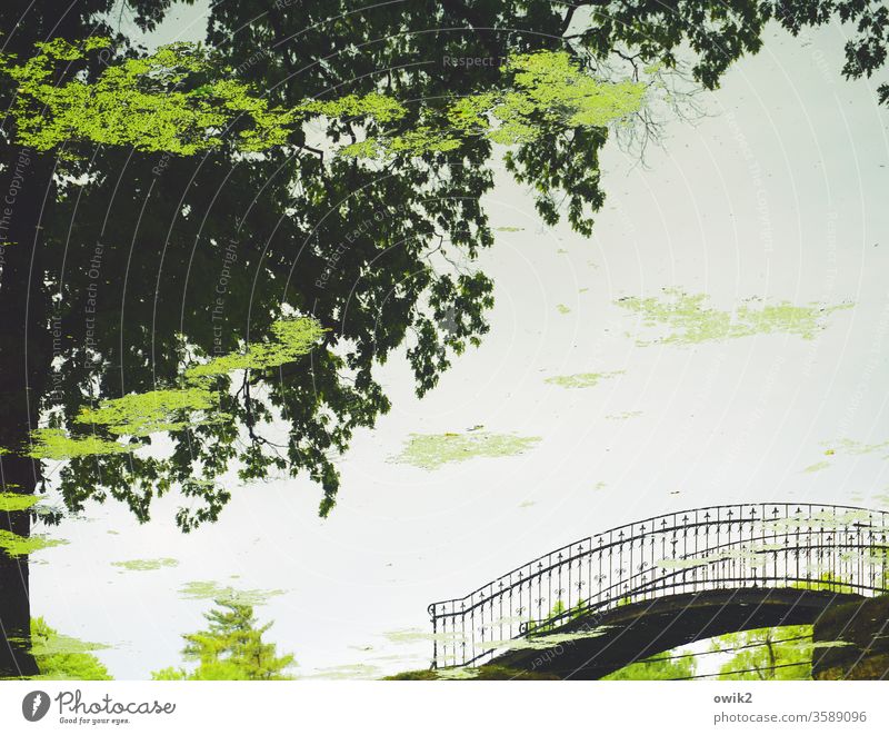 Sinnbild Detailaufnahme 180° gedreht auf dem Kopf Spiegelbild Spiegelung Reflexion & Spiegelung Teich Park Brücke elegant Brückengeländer Metall geschwungen